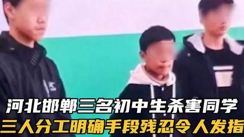 三个初中生杀死一面男孩最新爆料,三名初中生涉嫌杀害同龄男孩，案情细节曝光”