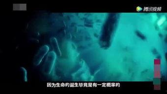 最新外星爆料视频大全