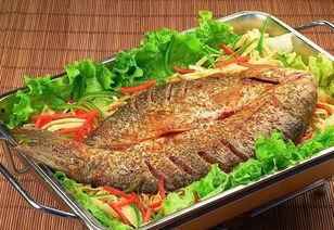 石家庄烤鱼爆料视频最新,揭秘网红爆火背后的美味传奇